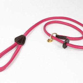 Digby & Fox Rolled Leather Slip Lead in Pink