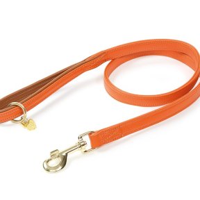 Digby & Fox Padded Leather Dog Lead in Orange