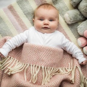 Tweedmill Baby Pram Blankets