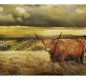 Country Matters Highland Cow Fold Away Shopping Bag